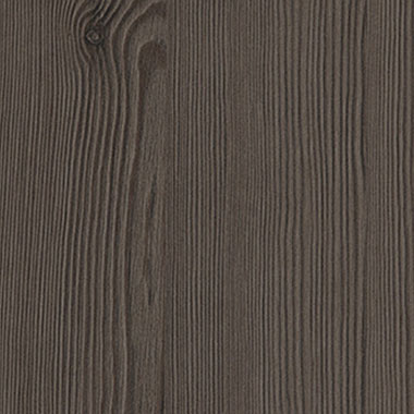 Anthracite Mountain Larch
